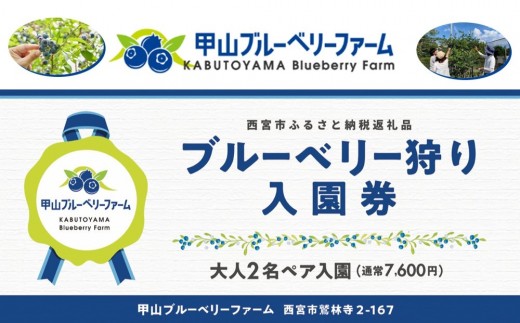 甲山ブルーベリーファーム ブルーベリー狩り入園券（大人2名ペア入園）
