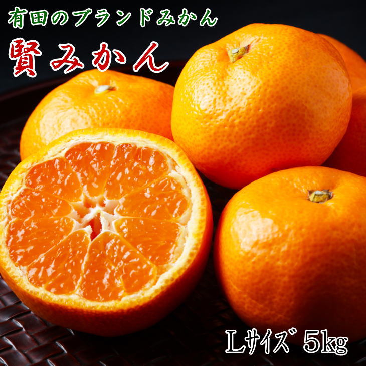 【ふるさと納税】【秀品】 有田ブランド 賢みかん 5kg（Lサイズ） 【ミカン 蜜柑 柑橘 温州みかん 有田みかん】