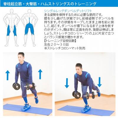 ふるさと納税 吹田市 ラバーダンベルセットNR20kg |  | 03