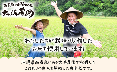 ⼤浜農園 ⾃然派⽶粉 1kg 農薬不使⽤＆グルテンフリー【お菓子・焼き菓子・グルテンフリー・米粉・パンケーキ】
