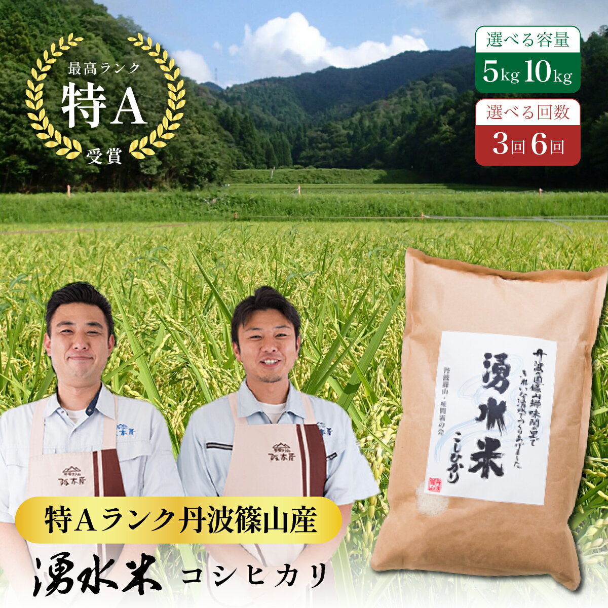 【ふるさと納税】〈定期便 特Aランク〉令和7年産 丹波篠山産 特A コシヒカリ 湧水米 【5kg 10kg 3回 6回】 | 丹波篠山 お米 おこめ ブランド米 ごはん ご飯 白米 米 コメ こめ 精米 精白米 おいしい米 美味しいお米 兵庫県 お取り寄せ こしひかり コシヒカリ