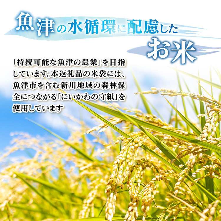 【3ヶ月定期便】【令和8年度米】【農家直送】環境配慮「魚津のコシヒカリ（晃米）」10kg（玄米） ※2026年10月～発送_イメージ3
