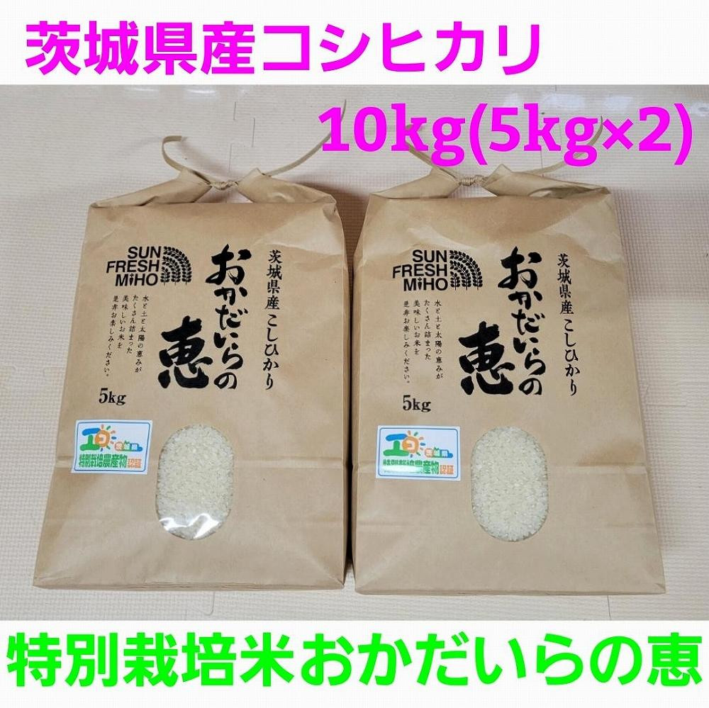 新米・令和6年産 コシヒカリ10kg（5kg×2）特別栽培米『おかだいらの恵』