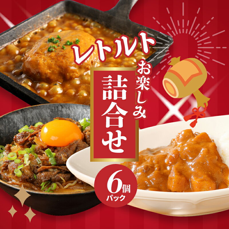 【ふるさと納税】福袋 お楽しみレトルト詰め合わせ6パックセット - 3種類のレトルト食品 パウチ レトルトカレー/牛丼の具/ハンバーグカレー 常温保存 1人暮らし 新生活応援セット 湯煎調理 お取り寄せグルメ ご当地グルメ 保存食 送料無料【宮崎県木城町】