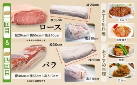 鹿児島県産豚1頭ブロックセット(6回送付定期便）