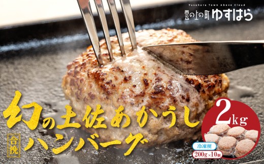 希少あかうし 土佐あかうし ハンバーグ 2.0kg 2kg 200g × 10個 合い挽きハンバーグ 冷凍 真空 小分け 個包装 肉汁 たっぷり 大容量 大きめ 合挽き 牛肉 豚肉 保存料 不使用 ビーフ ポーク 合いびき肉 挽肉 おかず 惣菜 晩ごはん 贅沢 お取り寄せ 肉 ギフト 人気 高知県 須崎市 お惣菜 はんばーぐ hannba-gu