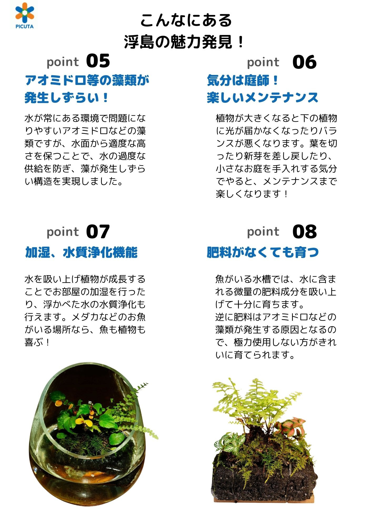 ビオトープ