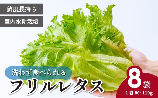 レタス ＜洗わず食べられる・室内水耕栽培＞ フリルレタス 8袋(80～110g/袋) | フリルレタス ふりるれたす レタス れたす 新鮮レタス 室内栽培レタス オーガニック野菜 野菜直送 フレッシュ サラダ用野菜 健康志向 こだわり フレッシュ 産地直送 食品ギフト セット 緑黄色野菜 新鮮 安心野菜 旬 低カロリー レタスボウル 株式会社ICTVスマイル農場 埼玉県 東松山市