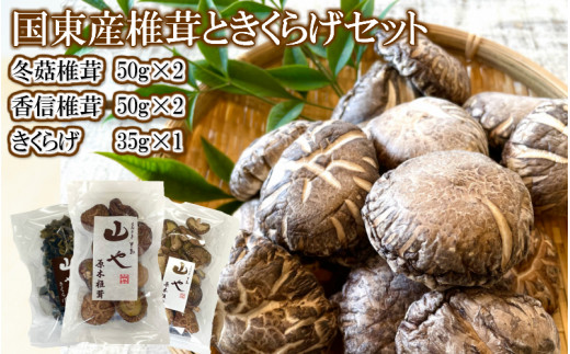 【数量限定】山やの乾しいたけときくらげのセット 希少 純国産 きくらげ_1747R