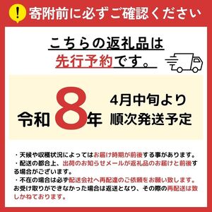 大玉スイカ（1玉）【2026年5月頃〜7月中旬まで順次発送予定】 熊本県産 西瓜 すいか 産地直送 くまもと 名産地 熊本和水町 | 熊本県 熊本 くまもと 和水町 なごみまち なごみ すいか スイカ
