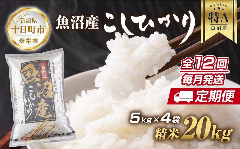 【定期便】新潟県 魚沼産 コシヒカリ お米 20kg×計12回 精米済み 年間 毎月発送 こしひかり（お米の美味しい炊き方ガイド付き）