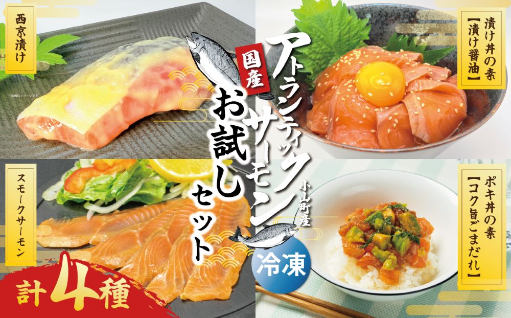 アトランティックサーモン（冷凍）お試しセット（サーモンブロック無し）