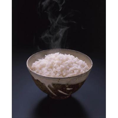 ふるさと納税 焼津市 パパッとライス超やんわかこしひかり(200g×24入)(a17-108) |  | 01