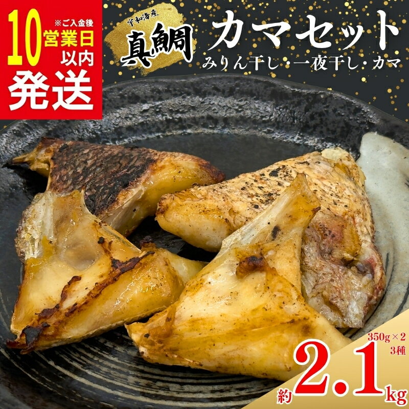 【ふるさと納税】 10営業日以内発送 真鯛 カマ 約 2.1kg セット 10000円 みりん干し 一夜干し 干物 食べ比べ たい 鯛 タイ まだい 冷凍 人気 惣菜 おかず おつまみ 簡単 晩ごはん 小分け 真空 パック 養殖 国産 詰め合わせ ギフト プレゼント 南予ビージョイ 愛南町 愛媛県