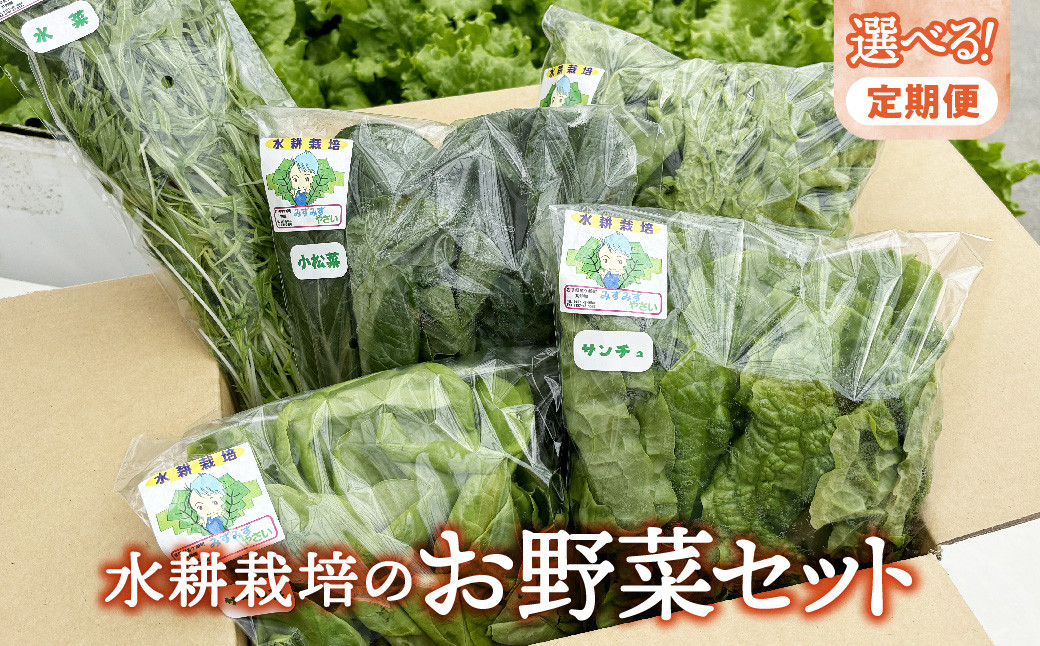 
            【定期便】【水耕栽培】野菜 詰め合わせ 合計 5袋 ( レタス チンゲン菜 小松菜 山東菜 水菜 わさび菜 ） 3 ～ 5種類 各 250g 詰合せ おまかせ セット みずみず やさい 葉物 障がい者支援 就労支援 支援 応援 福祉 岩手県 金ケ崎町
          