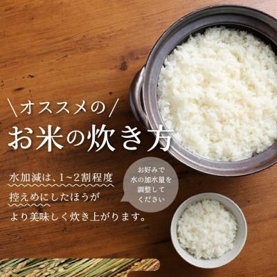 ふるさと納税 富士吉田市 令和7年産  美富士の夢来 厳選米 ゴールド5kg 精米 真空パック 山梨県富士吉田市産 |  | 02