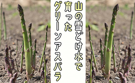 アスパラ 朝採り アスパラ【約1kg2L・L・Mサイズ混合】【先行予約】