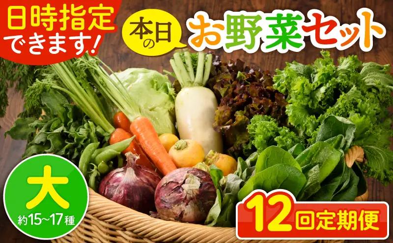 【12回定期便】日時指定OK！本日のお野菜セット （大サイズ/約15～17種） 4人以上用 / 野菜 朝どれ 有機栽培 産地直送 新鮮 旬 詰め合わせ サラダ 果物 きのこ類 やさい 送料無料 定期便 12カ月 【オーガニックのまち 宮崎県綾町】＿A0053-012
