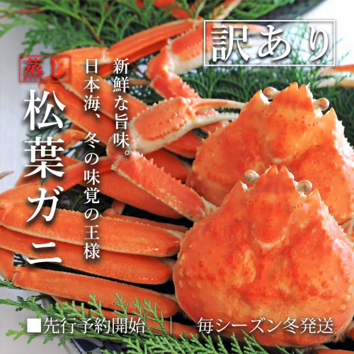 【蒸し】松葉ガニ 大2枚 訳あり ご自宅用 (1枚800～940g前後) ズワイガニ かに TM4 0714