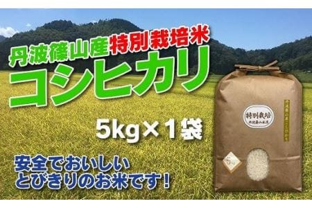 【令和7年産 2025年9月以降順次発送】お米のおいしさ伝えたい！特別栽培米コシヒカリ5kg×1 AD14 兵庫県 丹波篠山市 白米 100％単一原料米 産地直送米 贈答 おいしい お米 精米 コシヒカリ ブランド おこめ 健康 ギフト 内祝い 贈り物 送料無料 おすすめ 人気 口コミ