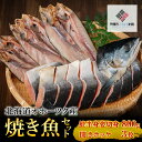 【ふるさと納税】北海道オホーツク産　焼き魚セット　開きホッケ(3枚)、鮭半身姿切身(800g)【配送不可地域：離島】 焼き魚 魚 ホッケ 鮭 さけ サケ しゃけ シャケ 北海道 美幌町 送料無料 BHRI024