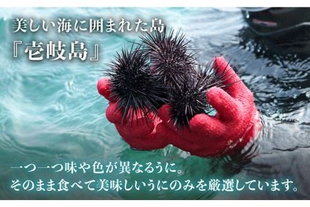 老舗の厳選 おさだの生うに 120g ( 60g × 2本 ) 生ウニ 生うに 雲丹 紫ウニ ムラサキウニ 【長田商店】[JAO001]   プレゼント ギフト 冷凍配送 九州