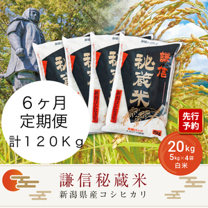 令和7年産 定期便6ヶ月連続発送（20kg×6回分）20kg 米 新潟県産 コシヒカリ  精白米 謙信秘蔵米  お米  こめ コメ おこめ おすすめ こしひかり 新潟 にいがた 新潟米 上越 上越産 上越米 ふるさと納税 定期便 人気