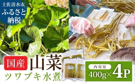 ツワブキ 水煮 400g×4パック 1.6kg 1.6キロ 山菜 下処理済み 野菜 春の食材 煮物 佃煮 料理 石蕗 食品 お取り寄せ 真空 冷凍 配送【R01450】