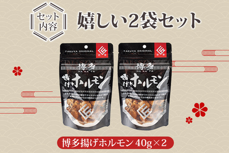 博多揚げホルモン(2袋セット) ホルモン 国産豚 唐揚げ おつまみ 送料無料 メール便（ポスト投函）