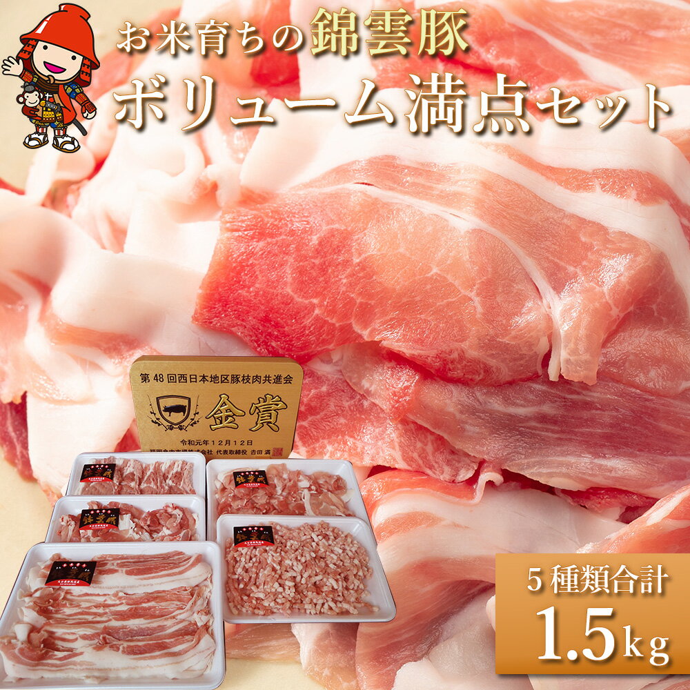 【ふるさと納税】ボリューム満点 錦雲豚 ブランド肉 5種類 合計1.5kg | お肉 肉 おにく にく 豚 豚肉 セット ロース バラ肉 もも うで ミンチ 詰め合わせ ブランド豚 国産豚 ポーク 九州産 国産 冷凍 送料無料 大分県 中津市