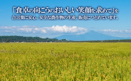 【令和8年産】 馬町さくらファームの特別栽培米つや姫 精米 5kg（5kg×1袋） K-835 | 米 つやひめ お米 5キロ コメ こめ ご飯 ごはん ブランド米 米どころ 庄内米 国産 美味しい 