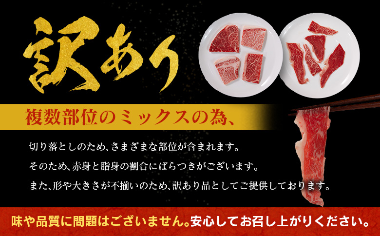 ＜10日以内出荷＞［訳あり］宮崎県産 黒毛和牛 切り落とし（スライス）計500g 国産 牛肉【A351-S-10D】 （スライス）計500g【10日以内に出荷】
