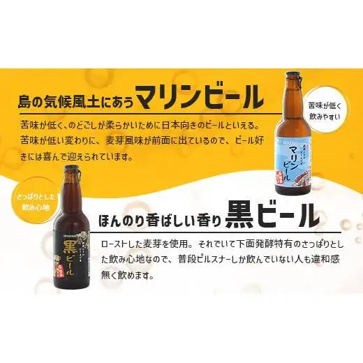 石垣島ビール詰め合わせ 6本セット V-21
