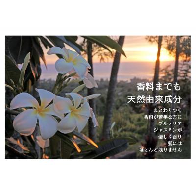 ふるさと納税 柏原市 ボリュームでます!天然由来成分　98%　シャンプー&トリートメント |  | 03