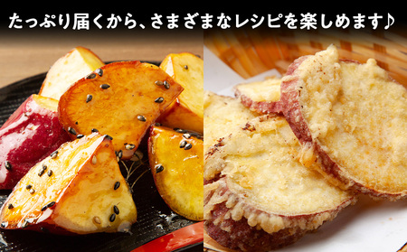 【10月発送!】【秋山農園】北海道産 さつまいも シルクスイート5kg 野菜 いも 芋 さつまいも 北海道ふるさと納税