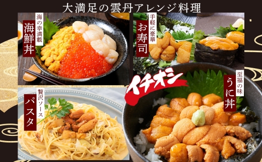【年末配送可能】 3553. 無地熨斗 ウニ チリ産 冷凍 うに 海鮮 200g 4人前 雲丹 丼 海鮮 丼 セット 熨斗 のし 名入れ不可 送料無料 北海道 弟子屈町