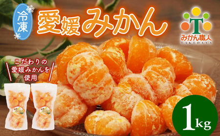 【冷凍愛媛みかん】 500g×2袋 冷凍みかん 愛媛 みかん職人武田屋