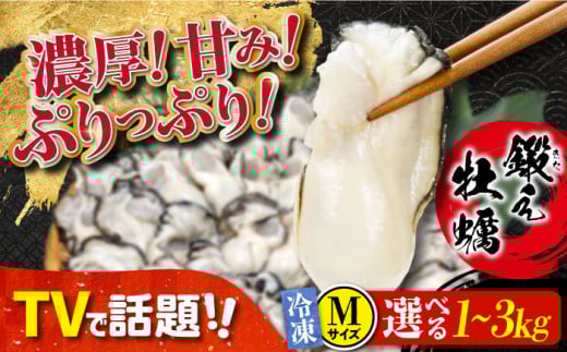 他の牡蠣とは味がちがう！【冷凍】 大粒 牡蠣 鍛え牡蠣 むき身 Mサイズ（冷凍）牡蠣 広島 かき むき身料理 簡単 江田島市/有限会社寺本水産 [XAE021] 牡蠣 生食 冷凍 むき身 殻付き 殻付 殻 かき カキ 生牡蠣 広島牡蠣 オイスター カキフライ 魚介類 魚介 貝類 海鮮 広島県産 国産 産地直送 贈答 ギフト 特産品