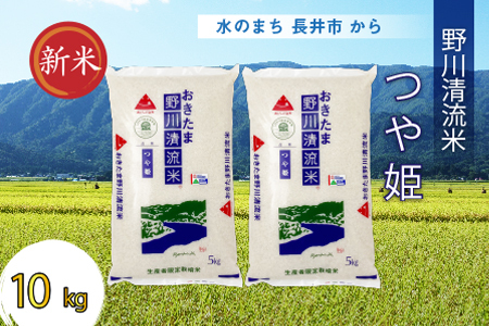 【令和5年産新米】【特別栽培米】野川清流米「つや姫」10kg(5kg×2袋)_A084(R5)