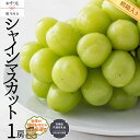 【ふるさと納税】【 お中元 熨斗 付 】【 桐箱入り 】シャインマスカット 1房 【令和6年8月より発送開始】（県内共通返礼品：かすみがうら市産） シャインマスカット ぶどう 果物 フルーツ 季節 旬