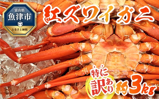 【特に訳あり】魚卸問屋のベニズワイガニ 約3kg ※2023年10月上旬〜2024年5月下旬頃に順次発送予定 ※北海道・沖縄・離島への配送不可◇