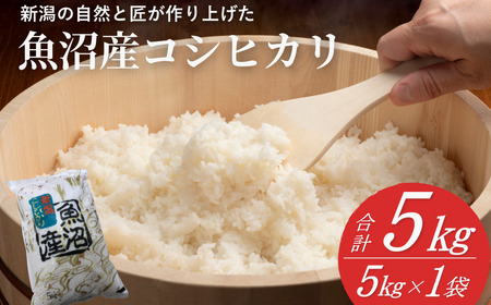 【魚沼産コシヒカリ 5kg】共栄農工社 魚沼産コシヒカリ