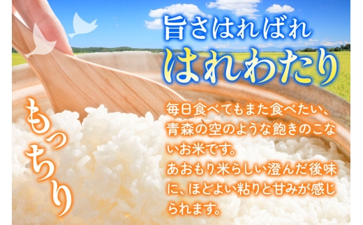 《定期便9ヶ月》米 はれわたり【白米】10kg（10kg×1袋）特A 青森県弘前市産 [米 定期便 はれわたり 白米 精米 ブランド米 青森県 弘前市産]