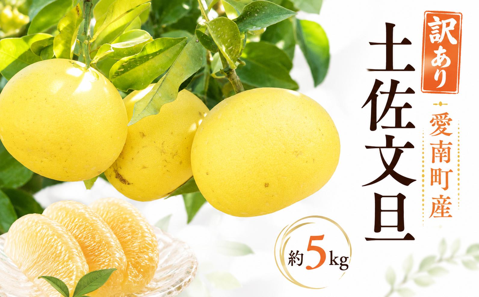 
                  【先行予約】 訳あり 土佐文旦 約5kg みかん 蜜柑 文旦 果物 柑橘 フルーツ ゼリー ジュース 農園 直送 サイズミックス 傷 不揃い エニシトラス 愛媛県 愛南町 発送期間: 2027年2月中旬～(なくなり次第終了)
                