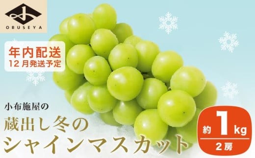 蔵出し冬のシャインマスカット 約1kg 2房 年内配送 ［小布施屋 ］長野県 ぶどう フルーツ 果物 冷蔵便 クール便 令和8年産【2026年12月発送】［A-526］