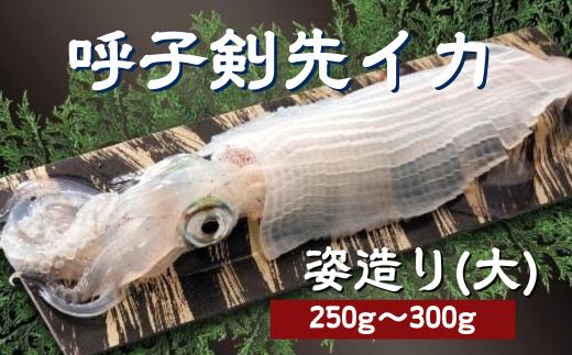 いかの姿造り　冷凍前の写真　（写真は中サイズ）