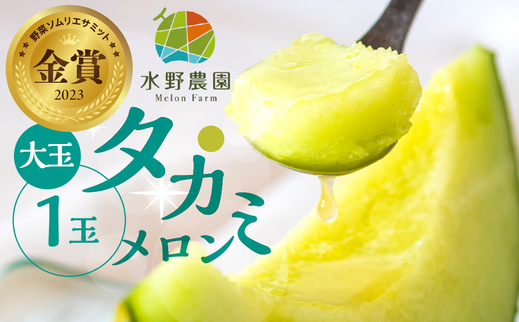 【先行予約】2027年7月お届け 水野農園産タカミメロン　大玉１玉 メロン めろん 先行予約 フルーツ 果物 お中元 お取り寄せ ギフト 渥美半島 田原市 産地直送 送料無料 農家直送 緑肉 産直 ネット系メロン くだもの デザート  糖度  青肉メロン