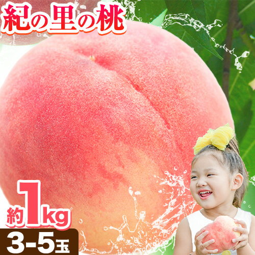 【ふるさと納税】桃 和歌山県産 紀の里の桃 約1kg (3-5玉)《2025年6月中旬-8月中旬頃出荷》 2025年 先行予約 紀の里の桃 白鳳 日川白鳳 なつっこ 清水白桃 川中島白桃 八旗白桃 和歌山 もも 一万円以下 10,000円以下