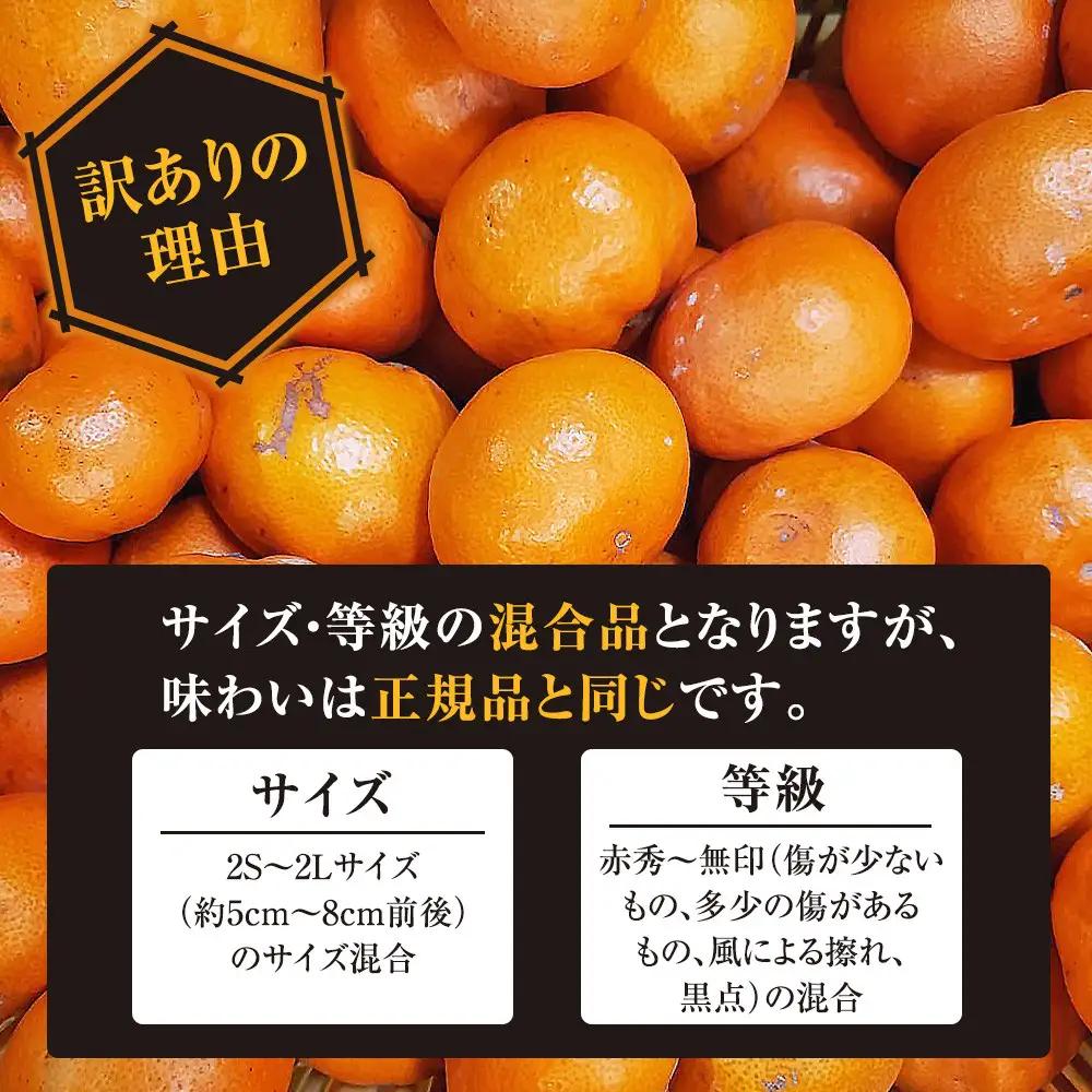 有田みかん専門店 有田の太陽®ファミリー 極早生 有田みかん 2.5kg＋補償分100g 山採れ・サイズ・等級 混合