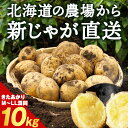 【ふるさと納税】数量限定 期間限定 じゃがいも 10kg 北海道 きたあかり ジャガイモ 芋 いも北海道ふるさと納税 積丹町 ふるさと納税 北海道 新じゃが サイズ混同 野菜 通販 ギフト 贈答品 贈り物